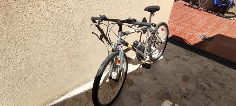 Bici Fiorenza